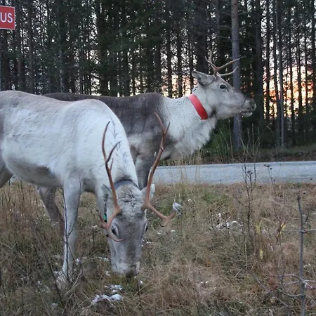 Rukatupa Chalé Ruka