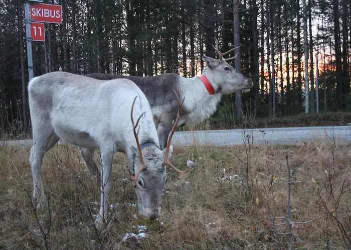 Rukatupa 샬레 루카